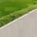 신공항공인중개사사무소 이미지