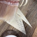 반여로 | [새총횟집] 진짜 나만 알고싶은 해운대구 자연산 회 맛집 메뉴, 주차, 내돈내산 후기