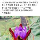 미용실 염색하러와서ㅡㅎ 이미지