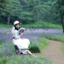 노송농원 이미지