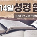 [가톨릭 성경 통독] 11월 14일 성경 읽기 | 욥기 18-23장 | 이미지