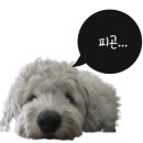 고덕동행정복지센터 이미지