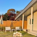 상천리-3 | 가평 숲속에 위치한 신상 애견독채펜션 '담담채'