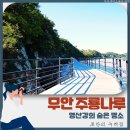 주룡나루 이미지