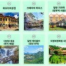 신기티엔비 | 베트남 달랏여행 : 나트랑여행 원데이코스 경비후기