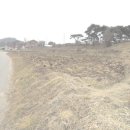 금마면-01 이미지