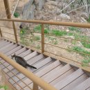 가평펜션 J스테이 이미지