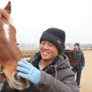 장흥 승마체육공원 이미지