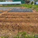 김해농약종묘사 이미지