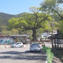 덕곡면 보건지소 이미지