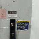 [위례] 피부관리 전문, 팔관리 후기 : 순수뷰티