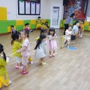 쌍호태권도장 이미지