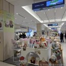 수호농장 | [영등포] 행운몬 아무로키, 모일페 다꾸농장 영등포 타임스퀘어 팝업스토어