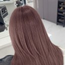 상남동229 이미지