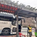 만천하 스카이워크 &amp; 알파인코스터 방문 후기 – 경치는 최고, 알파인코스터는 짧고 무서운 스릴! 🌄🎢