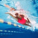 유어짐 가락 이미지