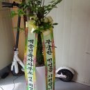 백송건축사사무소 - 오산시 내삼미로 89 | 백송건축사사무소