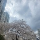 국내국제결혼사랑결혼정보 | 태국국제결혼, 사랑의 종착역 굿모닝결혼정보!