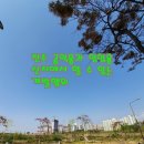 일등임업 네이버블로그