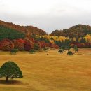 "가을 단풍에 빠져 봅시다" 명품 드라이브 코스 3選 이미지