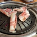 소사벌소한마리 이미지