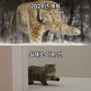 Ready to get this ! | 서울로 시작해서 서울로 끝나는 이번주?