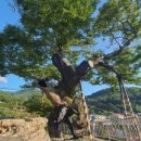 오동마을 이미지