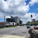 정낭 민박 | 제주 금능해수욕장 제주시절 민박 에서 2박 이야기!