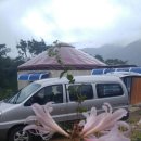 숲속 게르 하우스 이미지