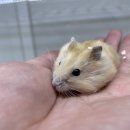 원주브리딩 이미지