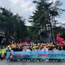 솔향유치원 이미지