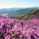 (주)큰사람 이미지