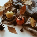 제철 집밥요리 이미지