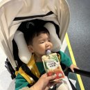 정후과일야채