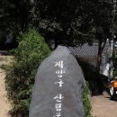 임학공원 출렁다리 이미지