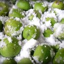 돌복숭아(개복숭아)효소 담그는법 이미지