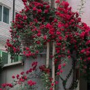 신성해장국 이미지