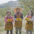 덕실감빛마을 | 의령산 대봉감으로 만드는 3종 디저트! 덕실감빛마을 감말랭이 쿠킹클래스 체험기