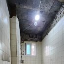 신장1로 이미지