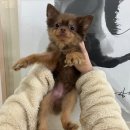 전주곤지중학교 이미지