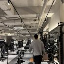 바디와이짐 | 행당동 신상 프리미엄 헬스장 ✨ 더블와이짐 행당점 🏋️‍♀️👍
