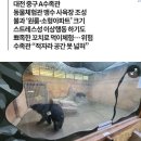 충격적인 크기의 대전 실내 동물원;; 이미지