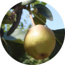 문배농장 이미지