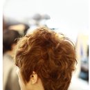 스핀PC 이미지