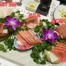 요쿠참치