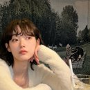 이유미 카카오 검색결과