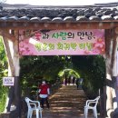 코스모스여화 이미지