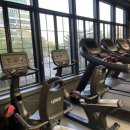 머스트휘트니스 이미지