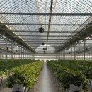 통화농장2 이미지