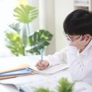 책 속 영어탐험 이미지